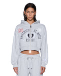 COLLEGE ORIGIN ZIP HOODIE GREY MARLE